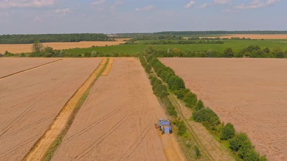 Combine Harvester Harvesting Ripe Wheat