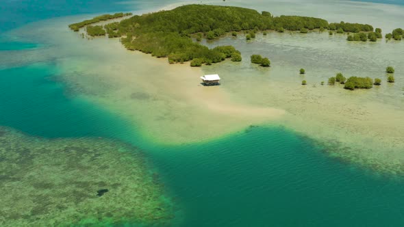 Mangrove Forest on a Coral Reef Philippines Palawan