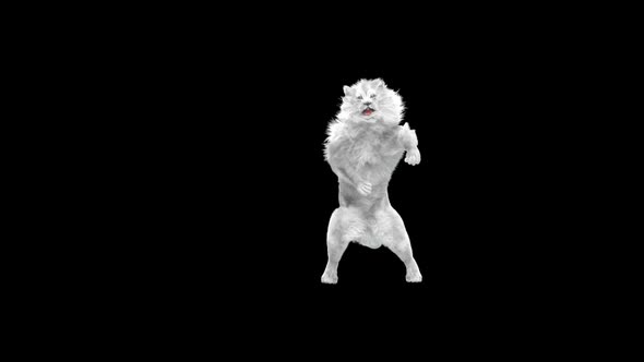 White Lion Dancing HD