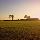 Aerial Cinematic Clip Drone Flying Over a Farm Field During Sunset - VideoHive Item for Sale