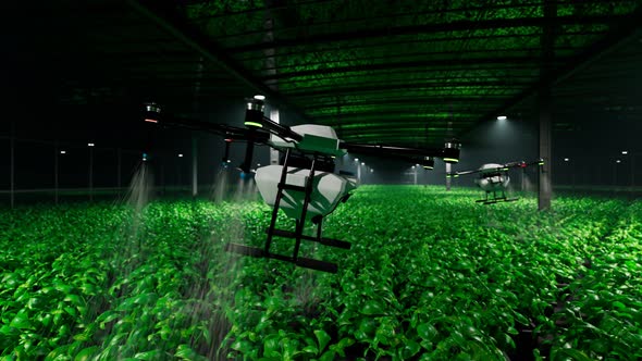 Animation with drones spraying health plant products on a plantation at night.