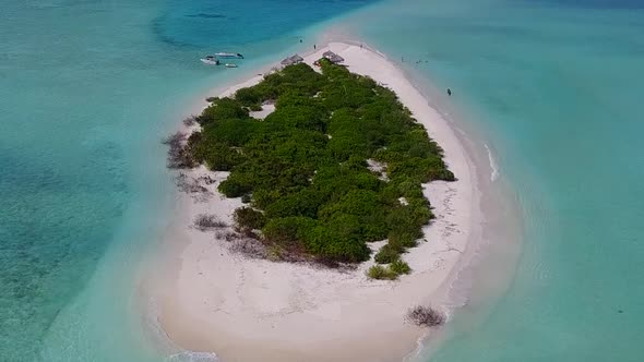 Aerial drone nature of marine coastline beach wildlife by blue ocean with sand background