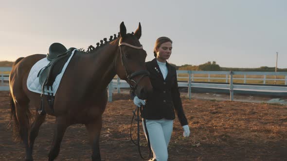 Horse Owner Walking With Seal Brown Horse In The Sandy Arena After Competition