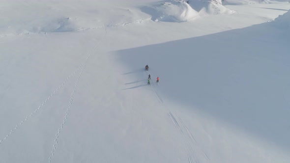 Snowmobile Pull Skiing Arctic Majestic Landscape