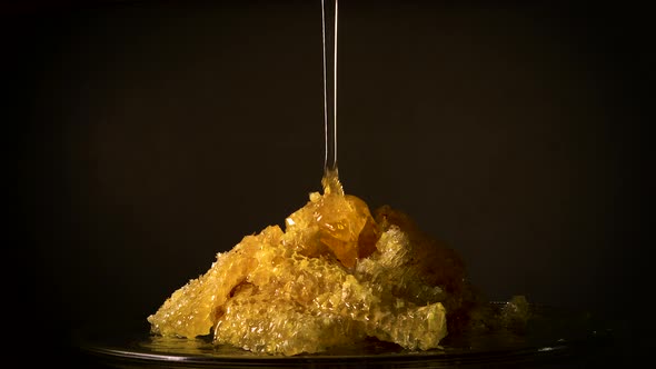 Honey Flowing on Honey Comb