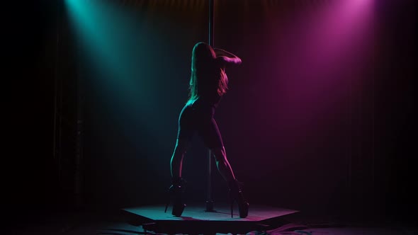 Young Sexy Slender Woman Dancing on a Pole Striptease with a Pylon in a Nightclub