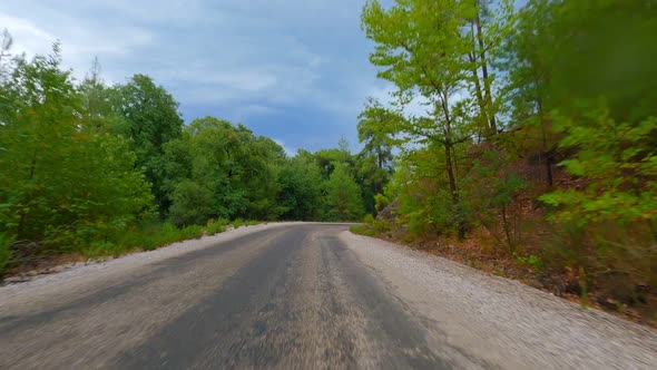 Car Drive Forest