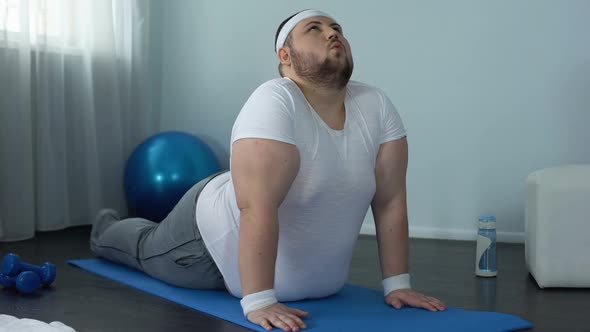 Overweight Man Stretching Home, Upward Facing Dog Pose, Flexible Spine Exercise