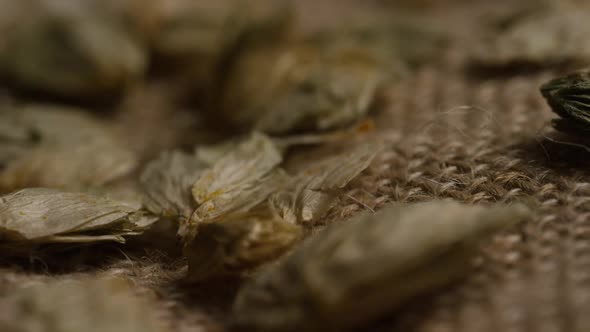 Rotating shot of barley and other beer brewing ingredients