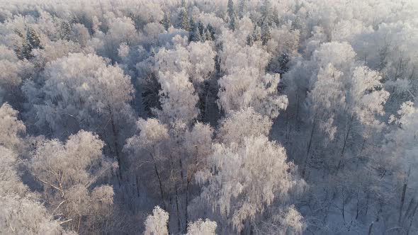 Winter Landscape in Countryside