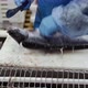 A Worker Cuts Off the Head of a Trout with a Knife - VideoHive Item for Sale
