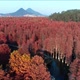Aerial Photography Of Autumn Water Forest In Lin'An District Hangzhou - VideoHive Item for Sale