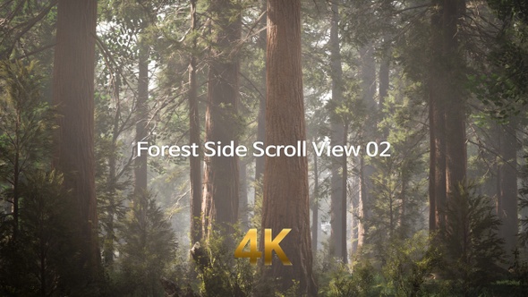 Forest Side Scroll View 4K 02