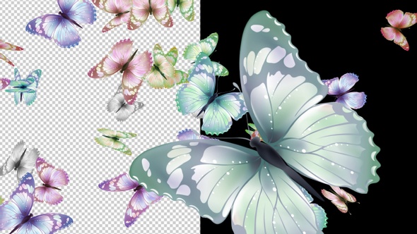 Butterflys Loop / Videohive