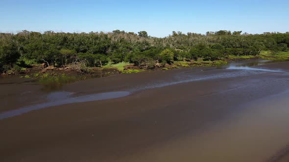 Panning drone shot of sand banks and woodlands by Rio de la Plata