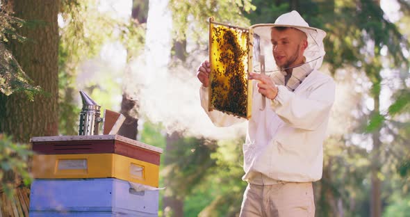 Apiary in the Middle of the Forest Young Male Bearded Beekeeper in White Protective Suit Bows and