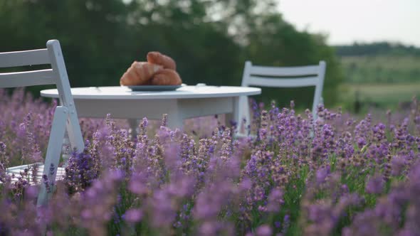 Croissants on Table in Lavender Field