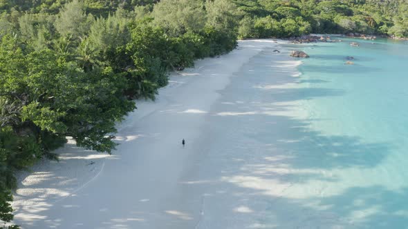 Aerial view of a person walking on the beach of Anse Lazio, Seychelles.