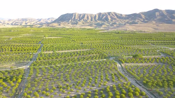 Flying above the farms in the spring. Breathe clean and fresh air.Watch the timeless green.