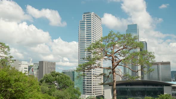 Beautiful white clouds passing over COEX World Trade Center Seoul with tall pine tree in foreground