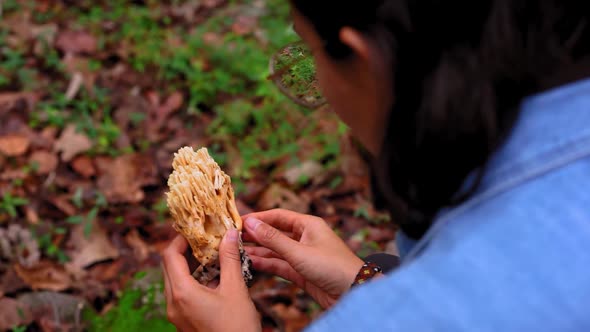 Aonymous woman with edible mushroom in hands in forest