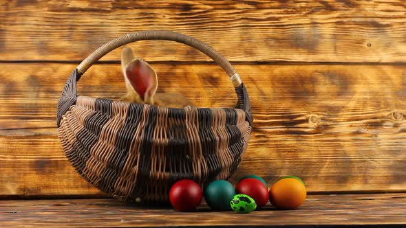 Little Brown Fluffy Cute Rabbit Sits in a Wicker Basket with Multicolored Assorted Easter Eggs on a