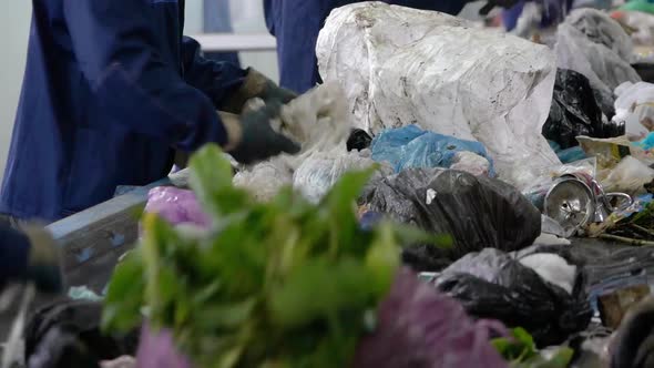 Workers at Conveyor Sorting Garbage at a Recycling Plant