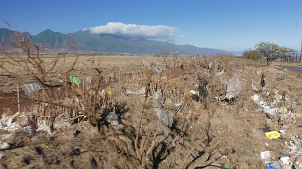 Hawaii Nature Polluted By the Human Waste Nondegradable Plastic Bags  Eco