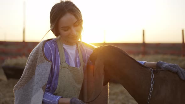 Young Blonde Woman Strokes and Feed From Hands Cute Yeanling on Local Farm