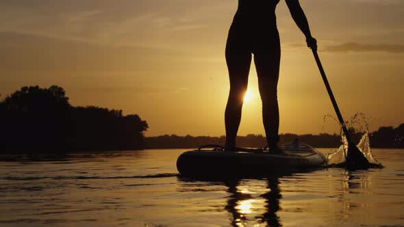 Slow Motion Woman Paddling on SUP Board at Sunset