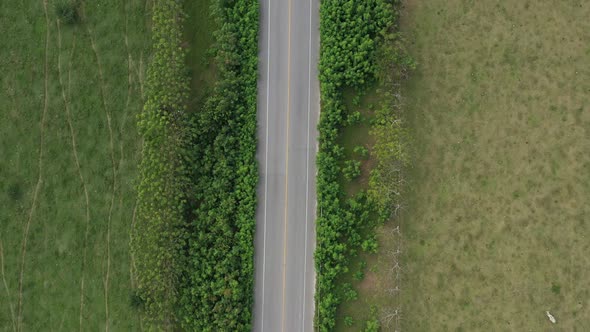 Asphalt Highway Through Green Tropical Field