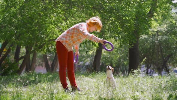Girl Playing with a Small Dog on a Green Lawn