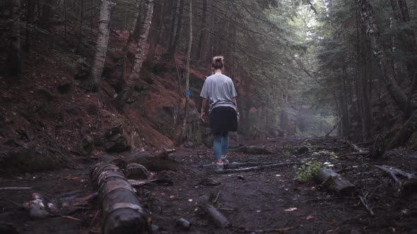 Carefree traveling woman in dark forest