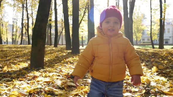 Happy Little Boy Playing in Park in Autumn
