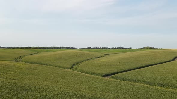 country side in south minnesota midwest during summer time aerial view, farms and corn fields