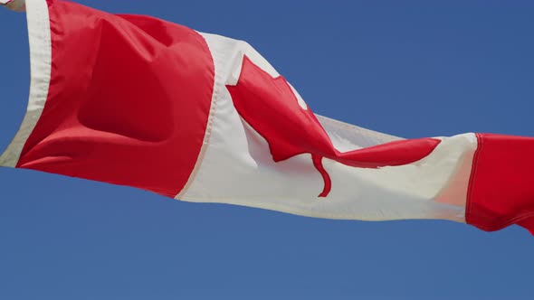 Canadian flag waving in the wind