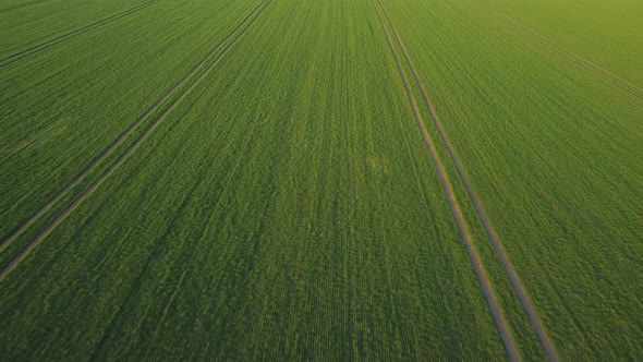 Drone Footage of Spring Field