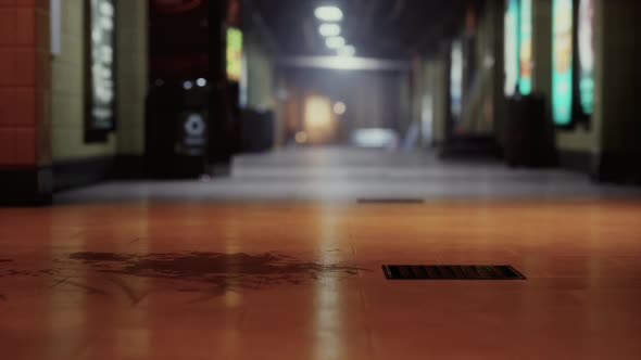 Empty Train Station During the Covid19 Pandemic alt