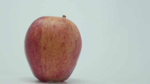 Gala Apple. One apple that’s  rotations.