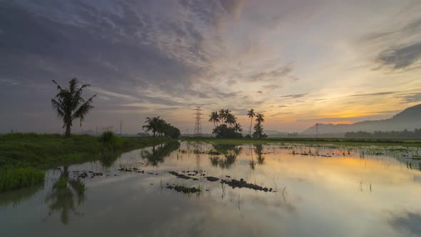 Timelapse reflection coconut of flood area 