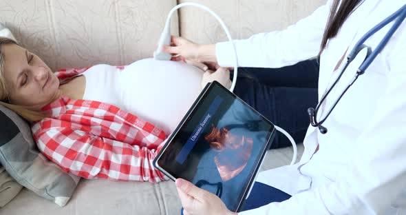 Doctor Makes Ultrasound Sonogram of Pregnant Woman at Home Closeup