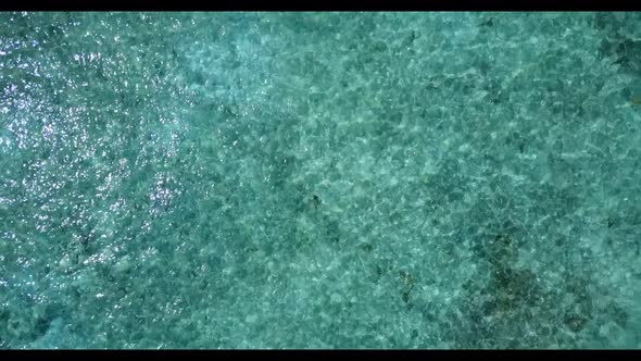 Aerial nature of marine seashore beach wildlife by clear water and white sandy background of a dayou