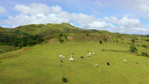Beautiful Landscape on the Island of Luzon, Aerial View, Green Hills and Mountains, Green Hills 
