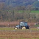 Tractor working in a Spanish paddy field  - VideoHive Item for Sale