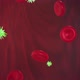 Virus Attacks Blood - VideoHive Item for Sale