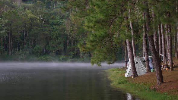 Morning in Forest with Camping in the Mist