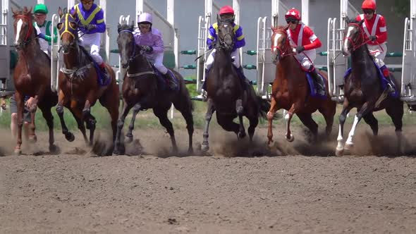 Start of the Horse Racing at the Racetrack