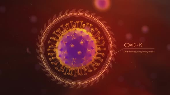 Info hud coronavirus