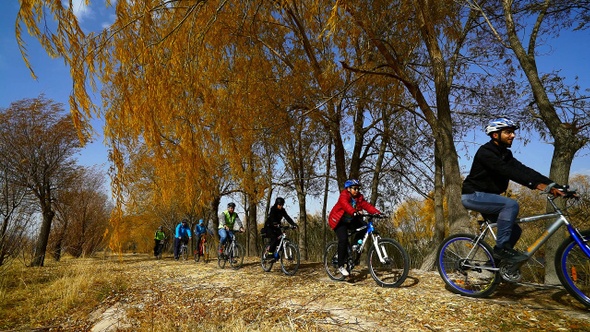 Cyclists In The Outdoors