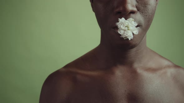 Shirtless Black Model With Flower In Mouth